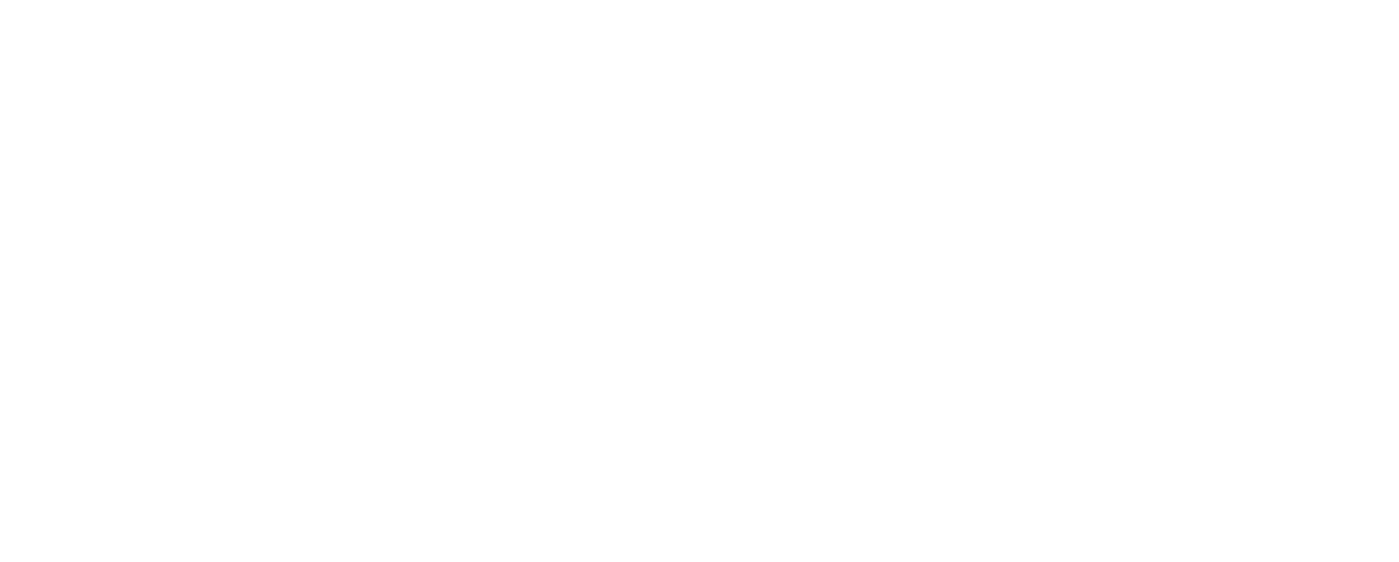 PFC Transportes